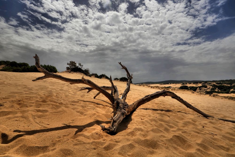 il deserto in vacanza