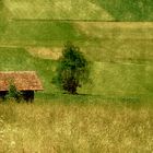 Il dolce fruscio dei ricordi