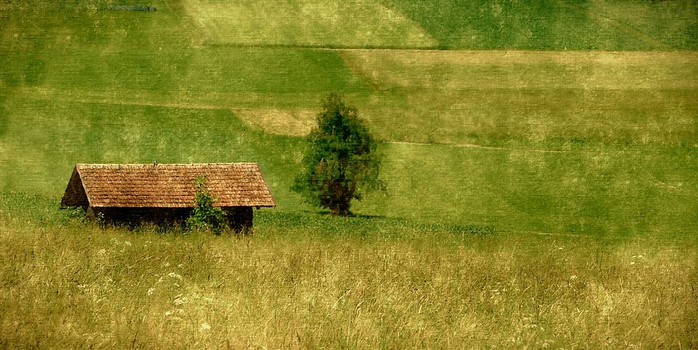 Il dolce fruscio dei ricordi