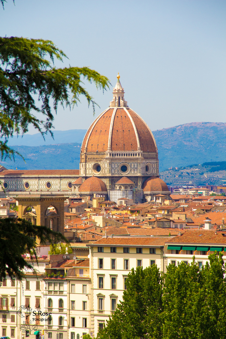 il Duomo