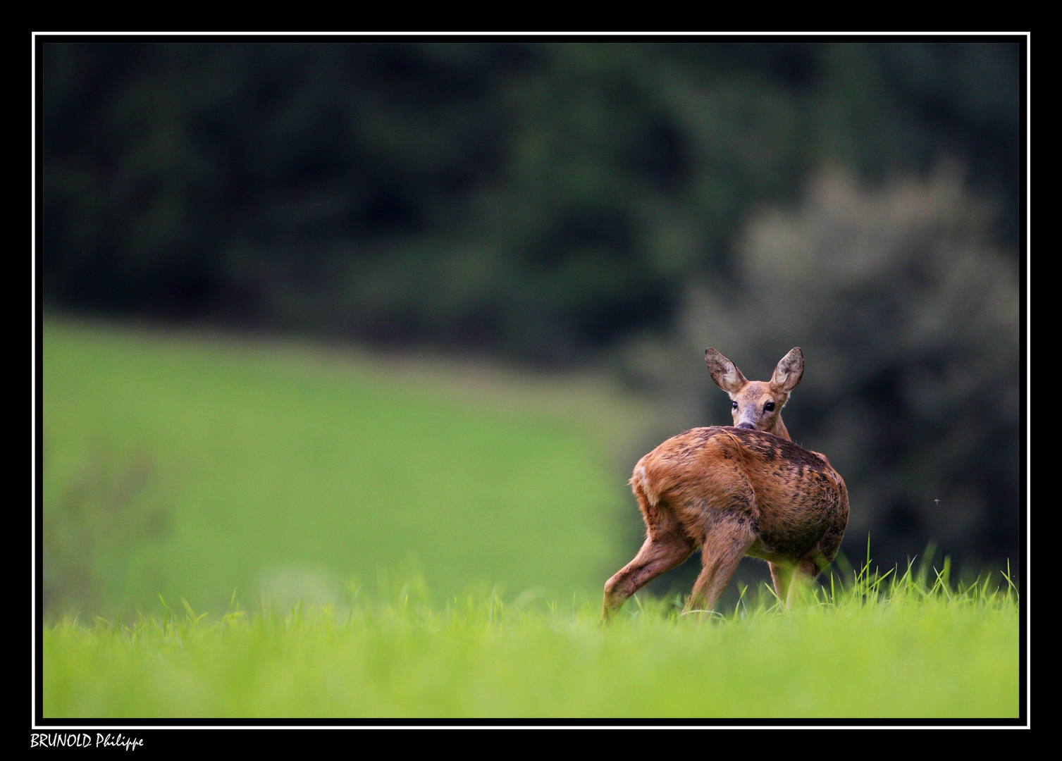 il est ou !! ce photographe !! pfff !!!