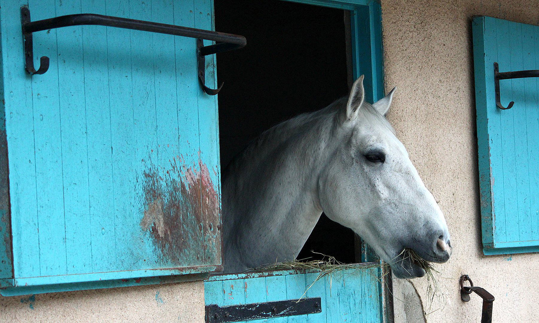 Il fait Blue..........