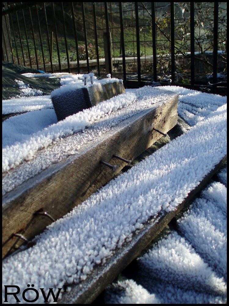 Il fait froid aujourd'hui tu ne trouve pas ?