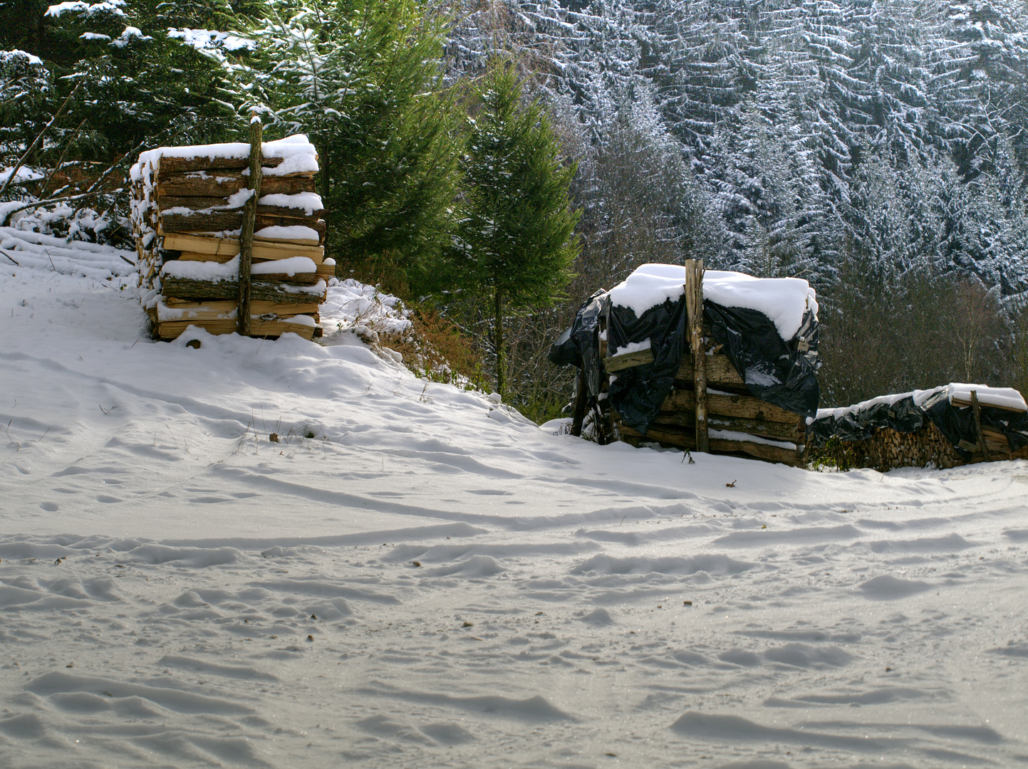 Il fait froid, donc il faut beaucoup de bois devant la maison