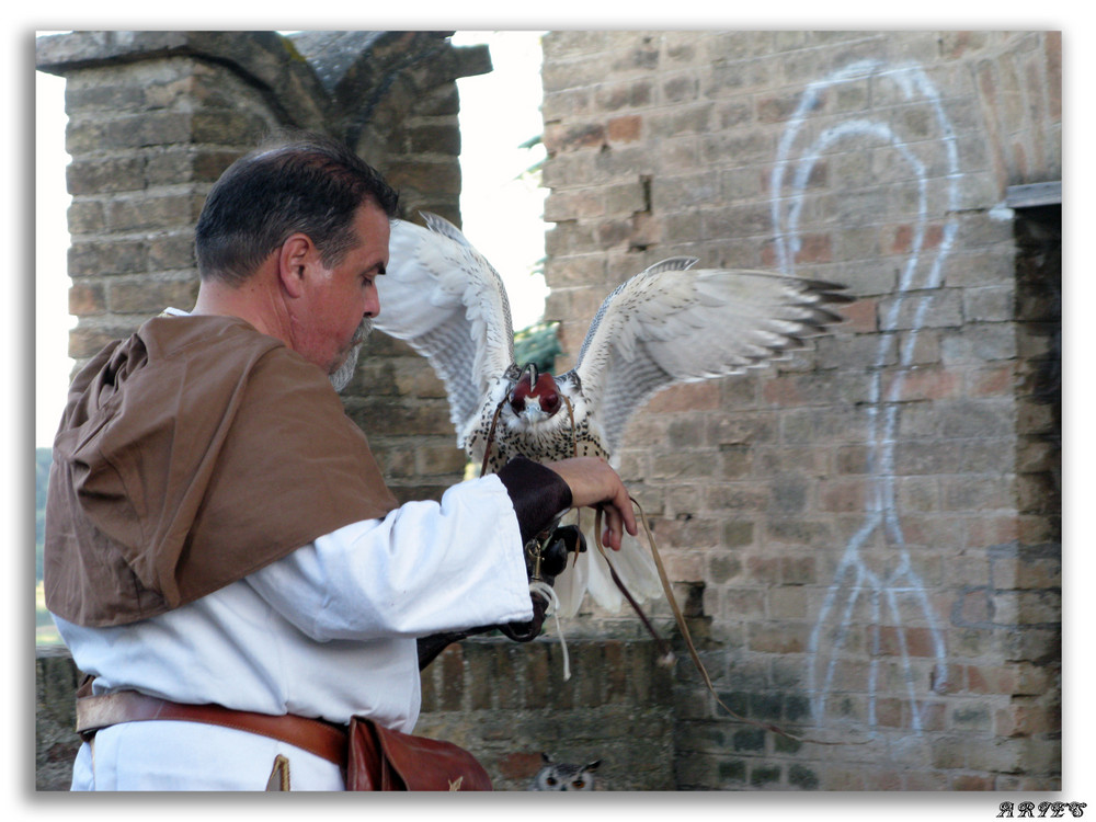 il falconiere