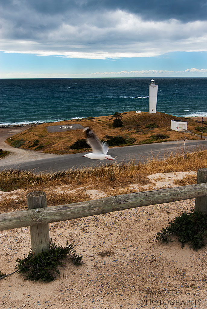 IL Faro