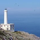 Il faro della Palascia - Otranto (Le)