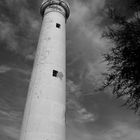 IL FARO