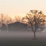 IL FASCINO DELLA CAMPAGNA /  FASCINATING COUNTRY