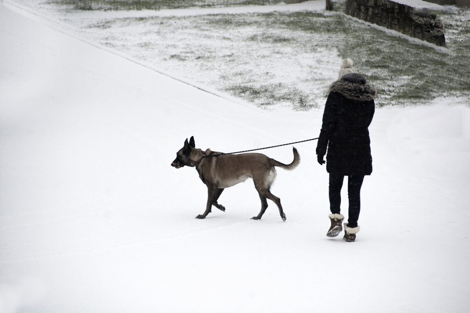 Il faut bien sortir le chien