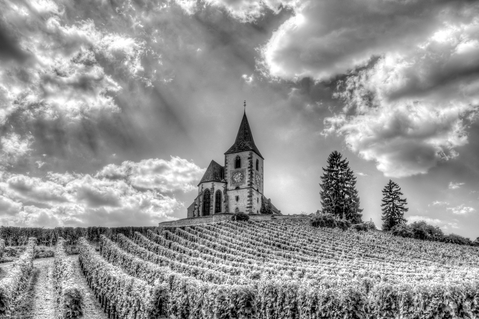 Il faut garder l'église au milieu du vignoble. 