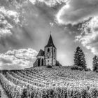 Il faut garder l'église au milieu du vignoble. 