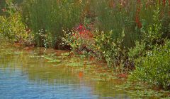 il faut laisser l'etang au temps il en profite