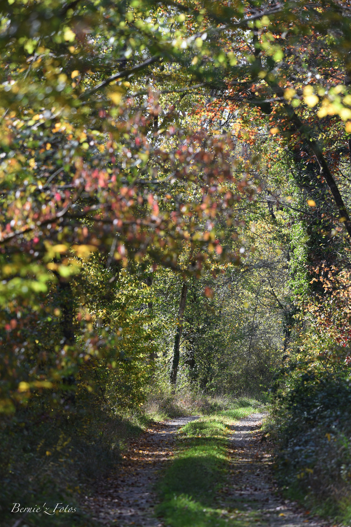 Il faut rester sur le bon chemin