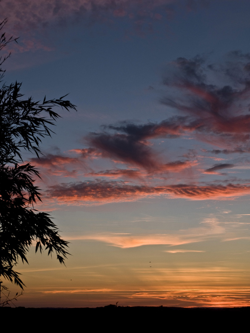 Il fera beau demain…!   --   Morgen wird es wieder schön…!