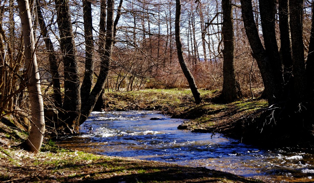 il fiume