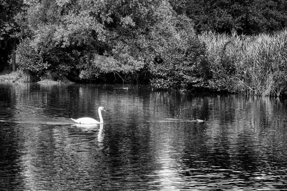 Il fiume Adda