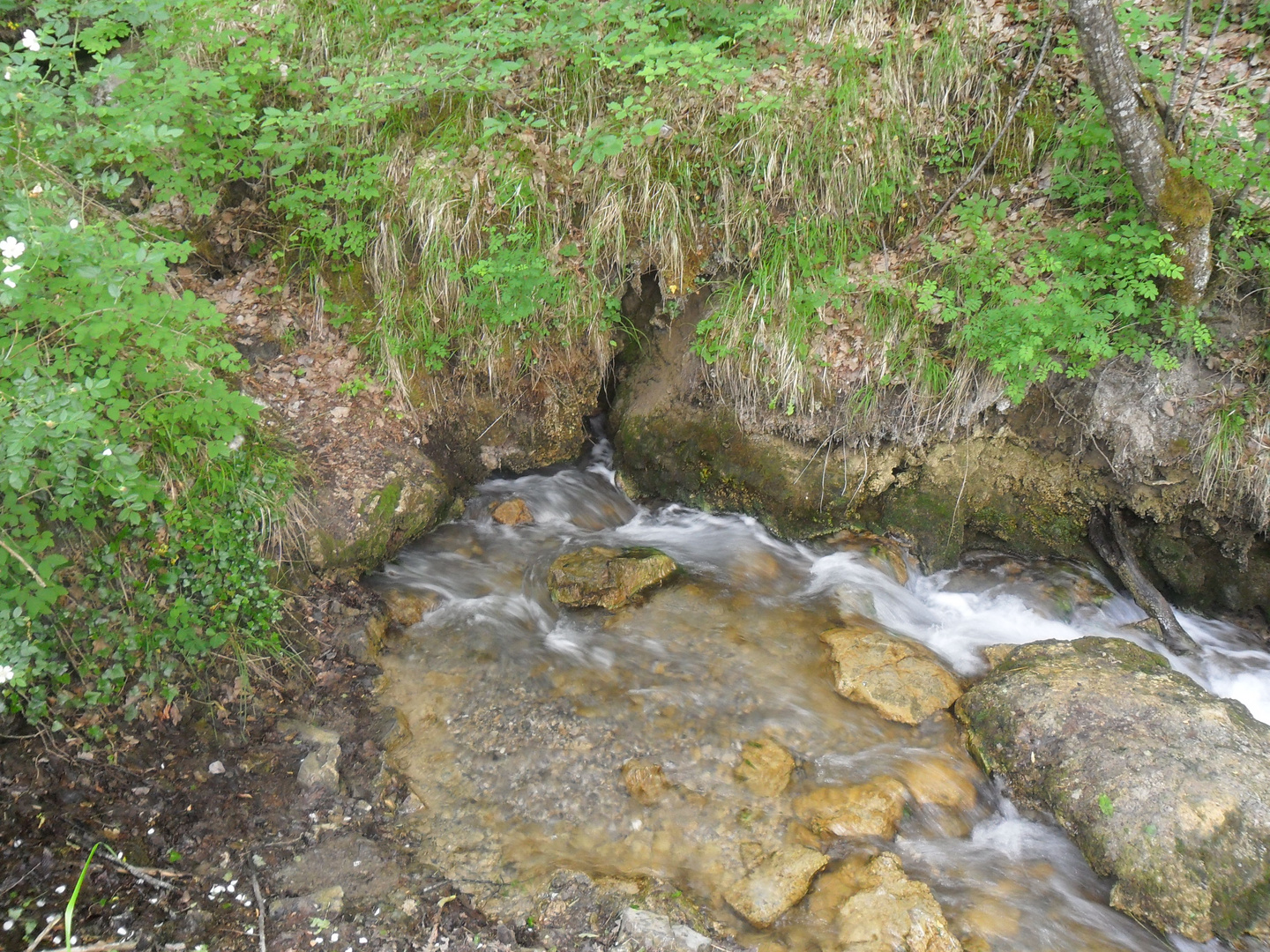 il fiume che nasce nalla roccia