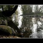 il fiume qui vicino senza neve