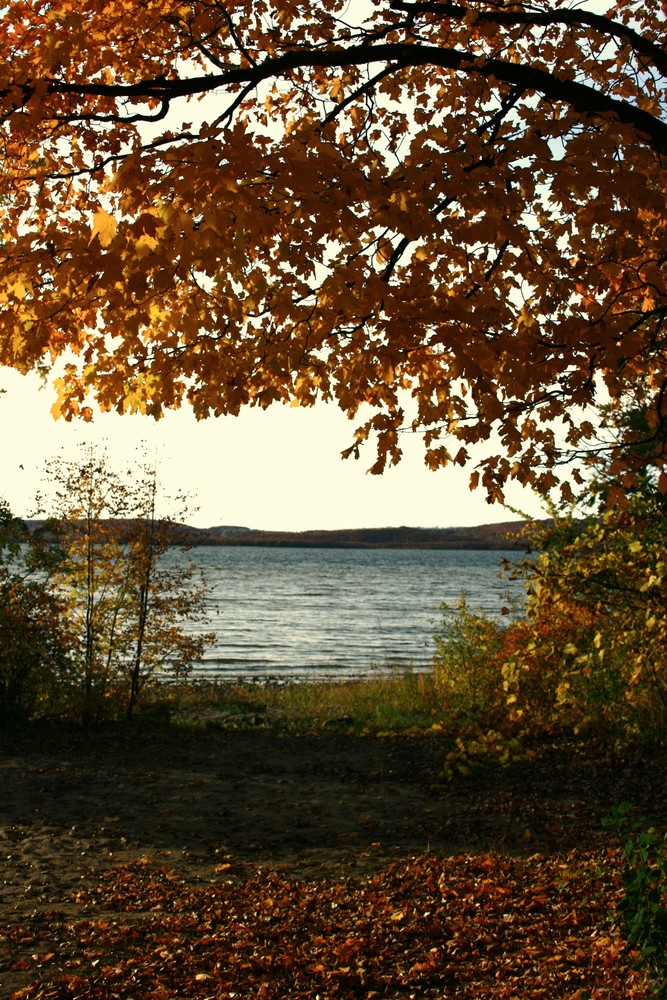 il fiume St Laurent...spiaggia autunnale...