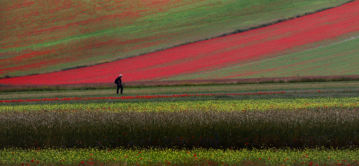 Il fotografo