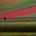 Il fotografo