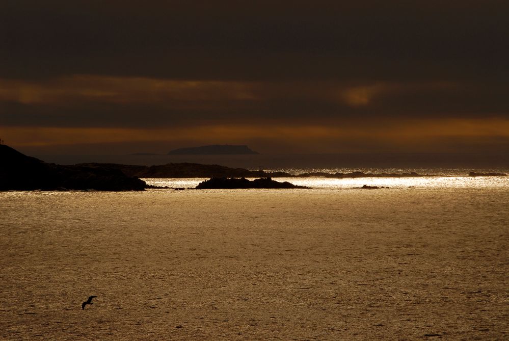 Il gabbiano e la luce