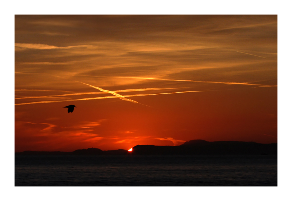 Il Gabbiano verso il tramonto