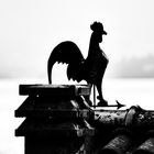 Il gallo del vento