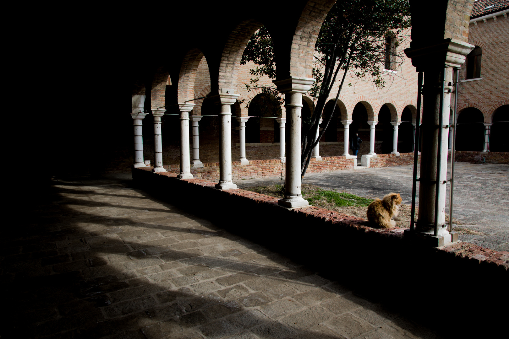 Il gatto nel monastero