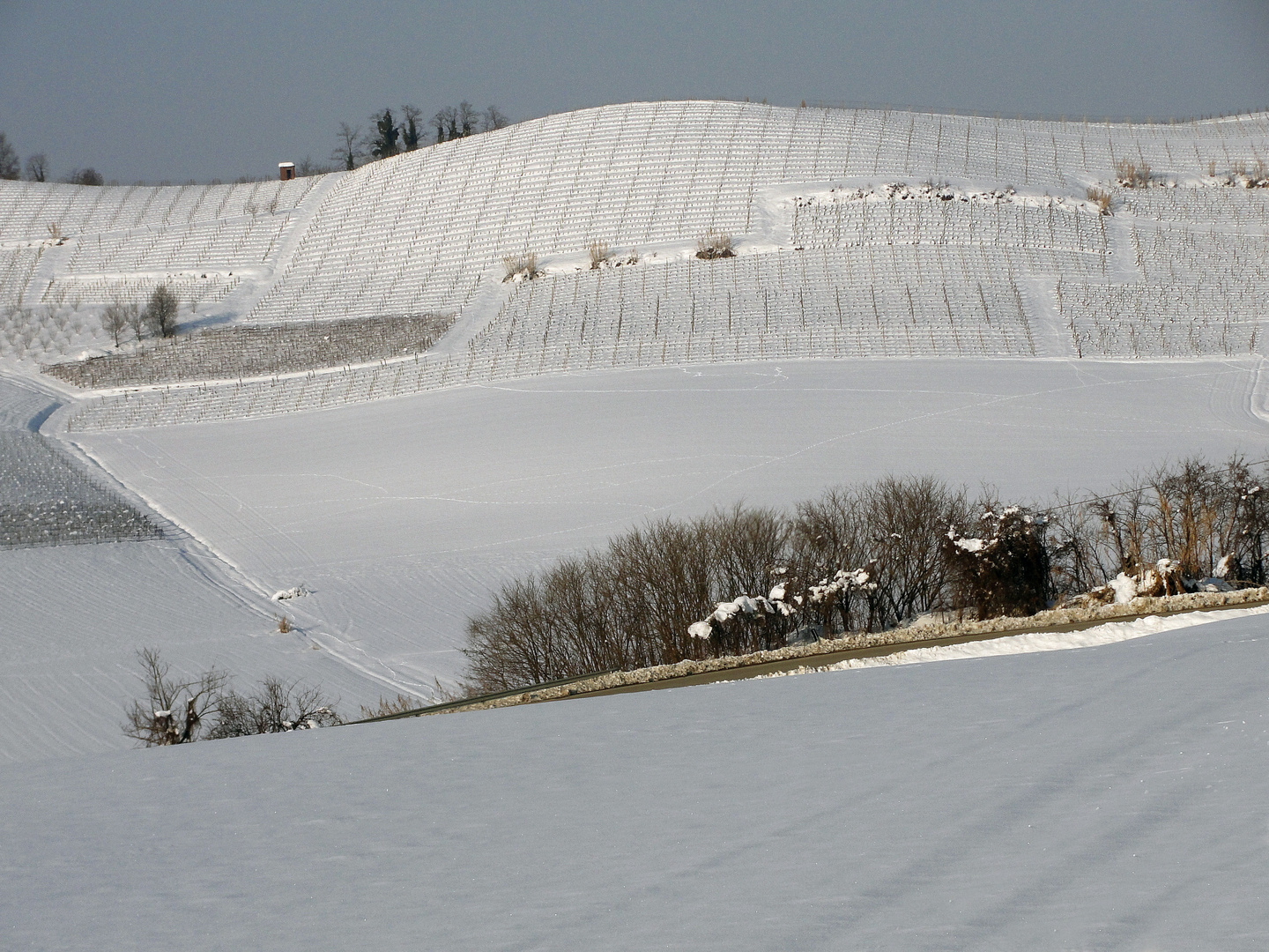 IL "GENERALE INVERNO" SUL MONFERRATO