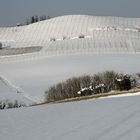 IL "GENERALE INVERNO" SUL MONFERRATO