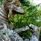 Il giardino dei mostri a Bomarzo, il drago.