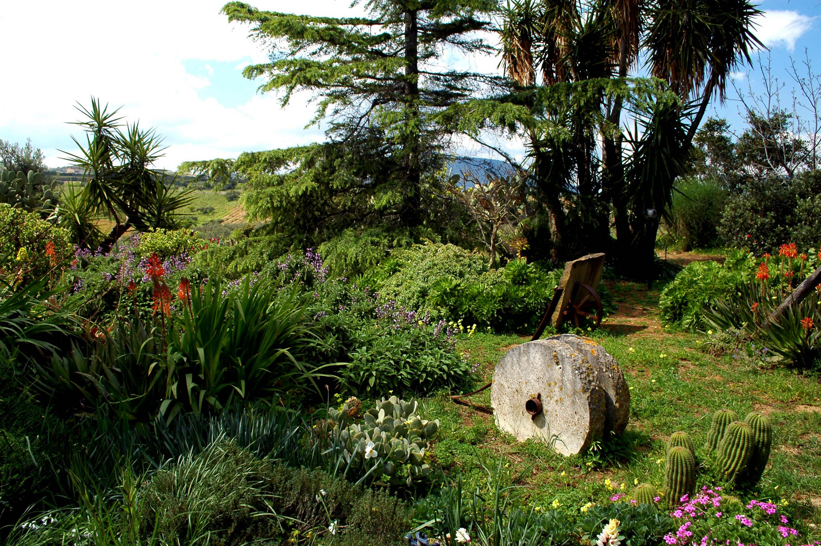 Il giardino dei Simeti