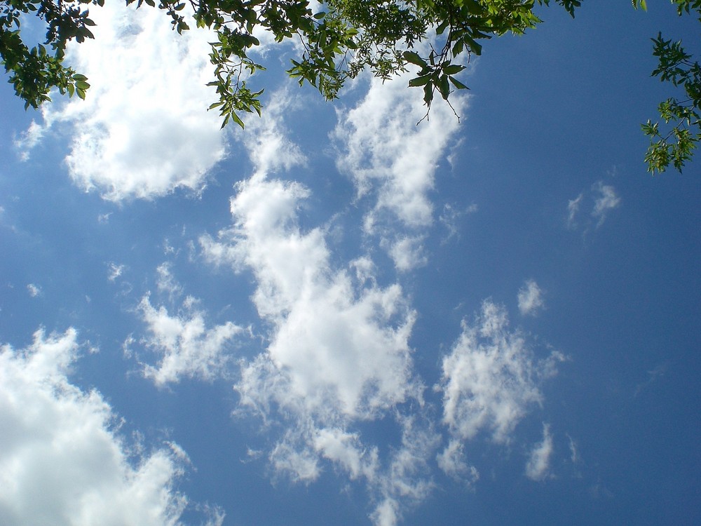 IL GIARDINO DEL CIELO