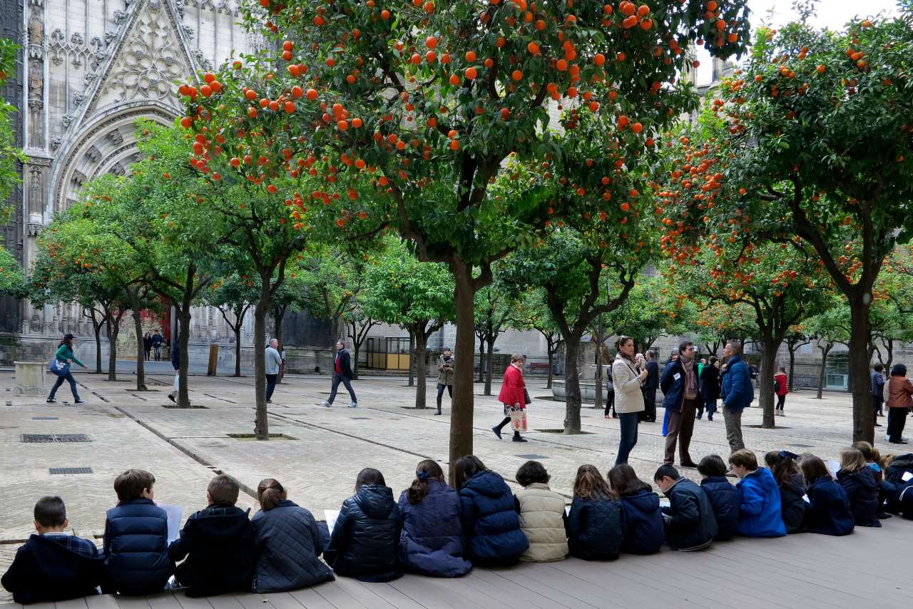 Il giardino delle arance