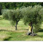 Il giardino di Daniel Spoerri 2