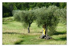 Il giardino di Daniel Spoerri 2