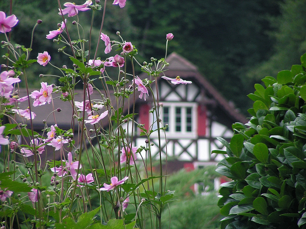 il giardino fiorito