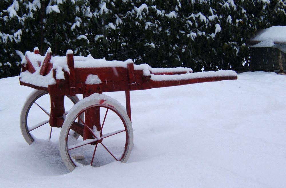 Il giardino innevato