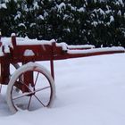 Il giardino innevato