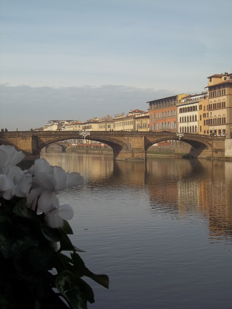 Il giardino sull'Arno