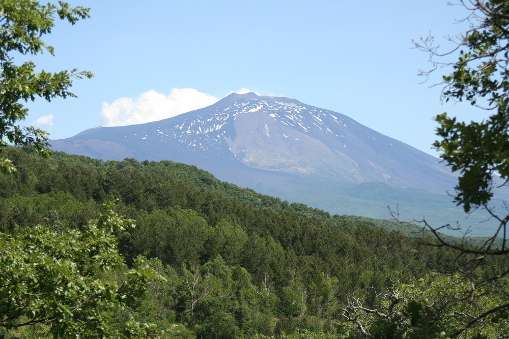 Il Gigante buono ...