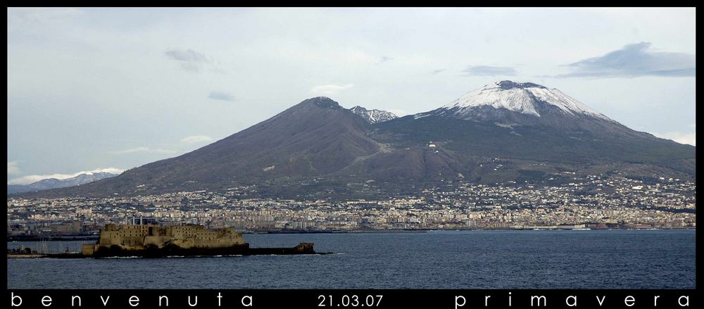 Il gigante buono