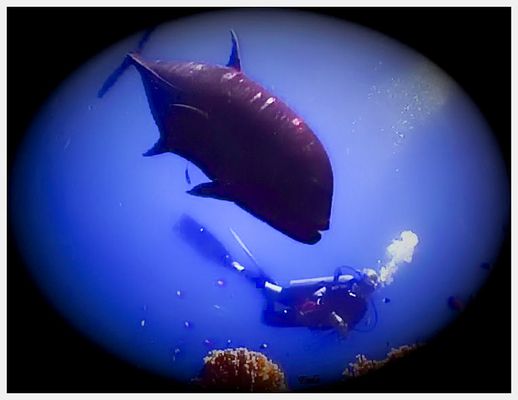 IL GIGANTE E LA BAMBINA....