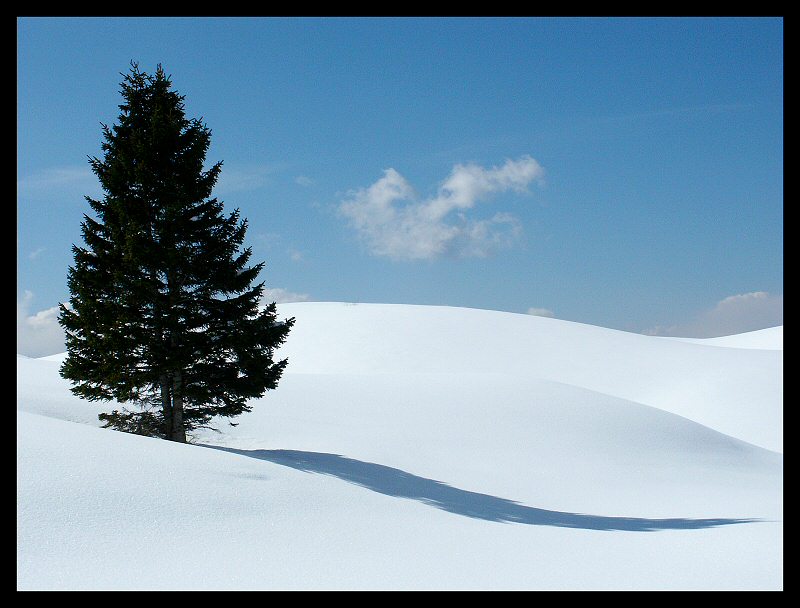 Il Gigante solitario