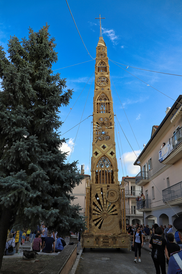 Il "giglio" di Villanova del Battista