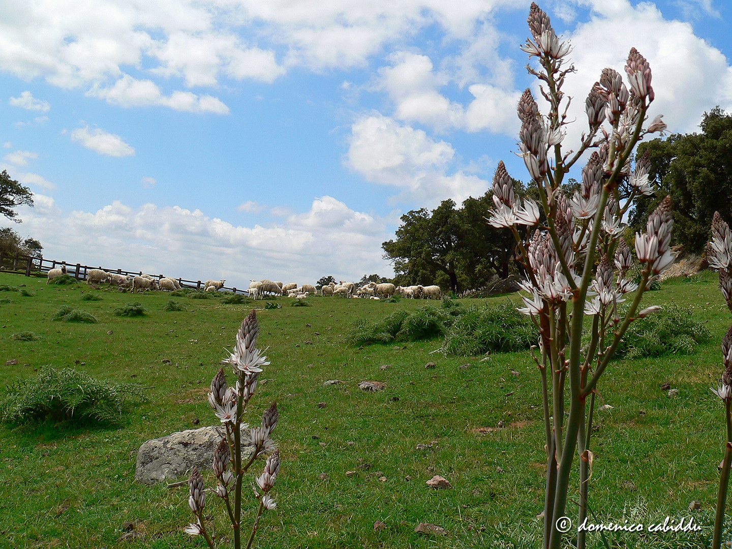 il giorno di Pasquetta