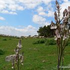 il giorno di Pasquetta