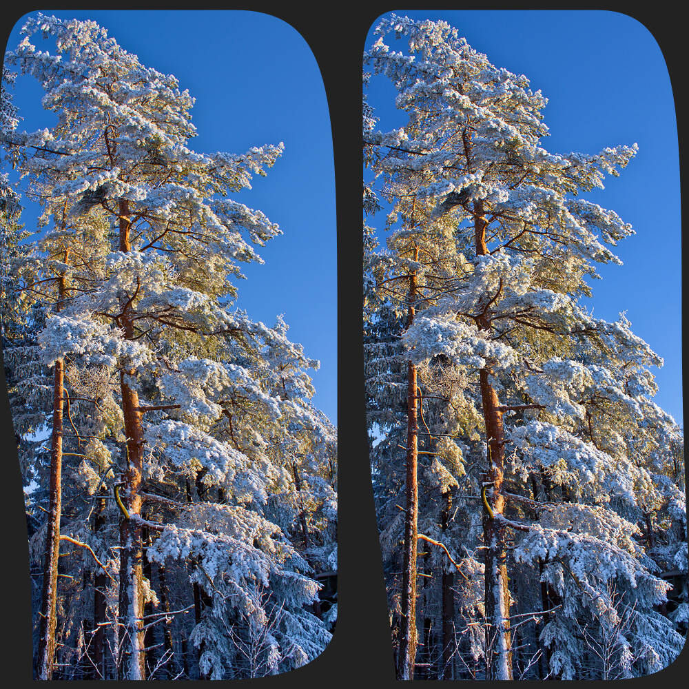 Il giorno d'inverno 3D